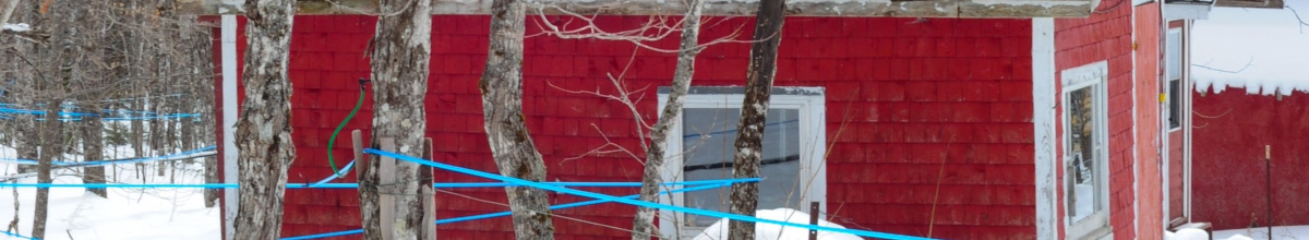 Maple Shack